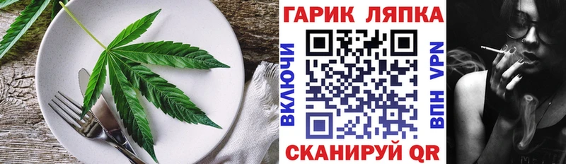 Купить закладки  Закаменск  Canna-Cookies конопля 