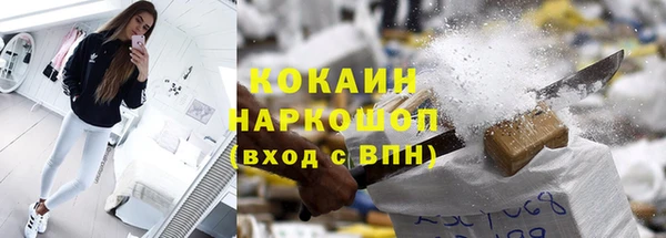 прущие грибы Новокубанск