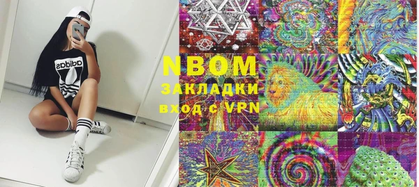 гашик Новодвинск