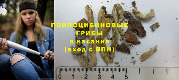 гашик Новодвинск