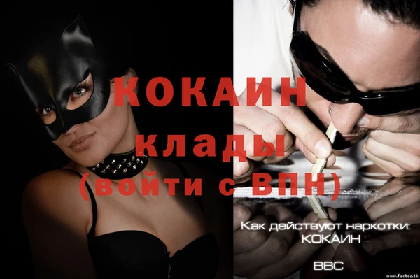 молекула духа Новозыбков