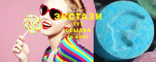 молекула духа Новозыбков