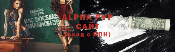прущие грибы Новокубанск