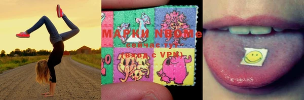 гашик Новодвинск