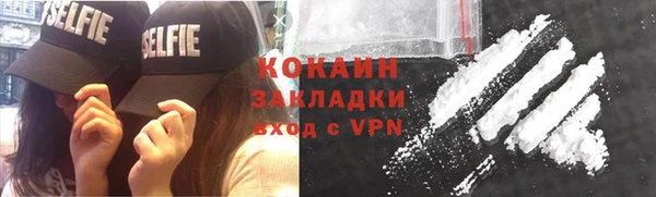 молекула духа Новозыбков