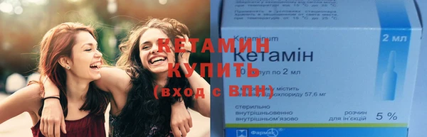прущие грибы Новокубанск