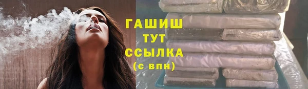 гашик Новодвинск