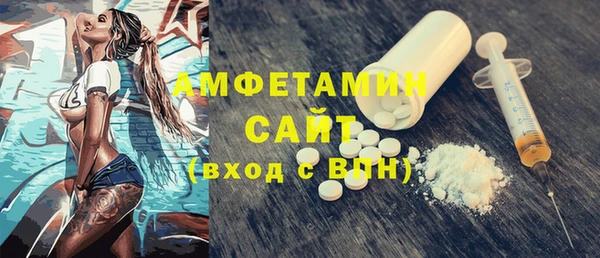 молекула духа Новозыбков