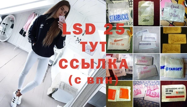 прущие грибы Новокубанск