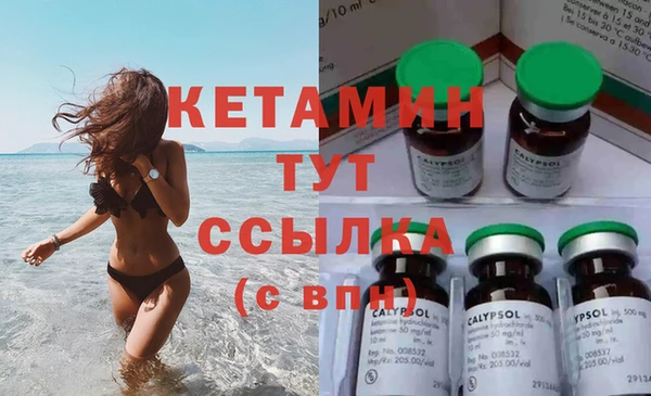 гашик Новодвинск