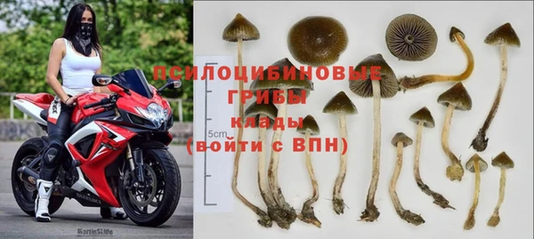 молекула духа Новозыбков
