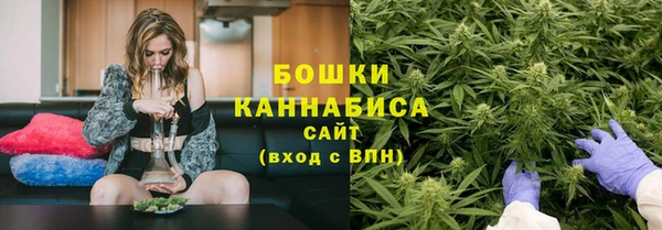 прущие грибы Новокубанск