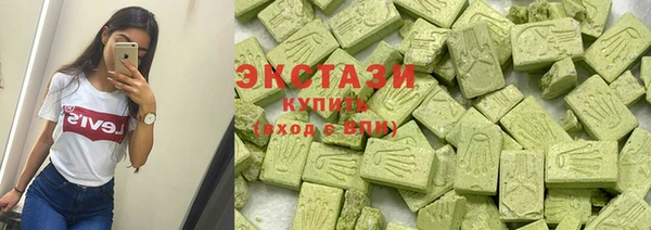 молекула духа Новозыбков