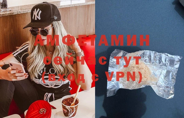 прущие грибы Новокубанск