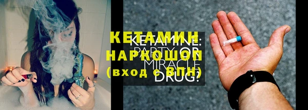 молекула духа Новозыбков