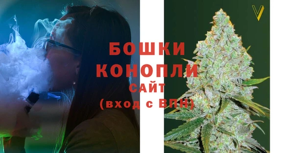 прущие грибы Новокубанск