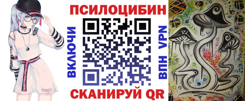Галлюциногенные грибы GOLDEN TEACHER  Купить закладки  Закаменск 